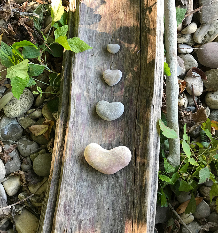 Bild von Steinen in Herzform auf Holz in natürlicher Umgebung